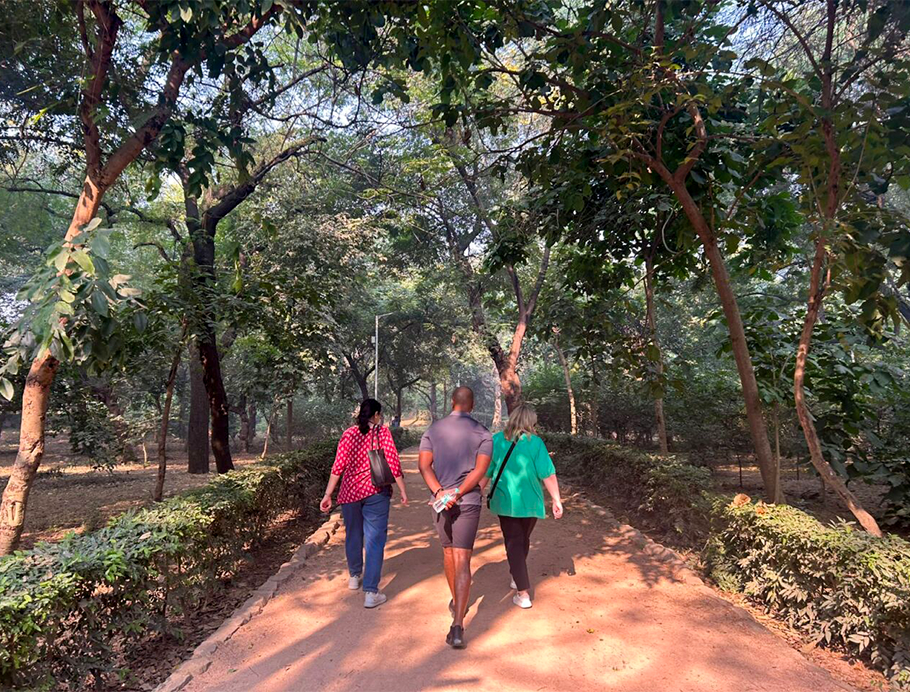 Walking through Mehrauli Archaeological Park, Delhi, India by Karin Jones